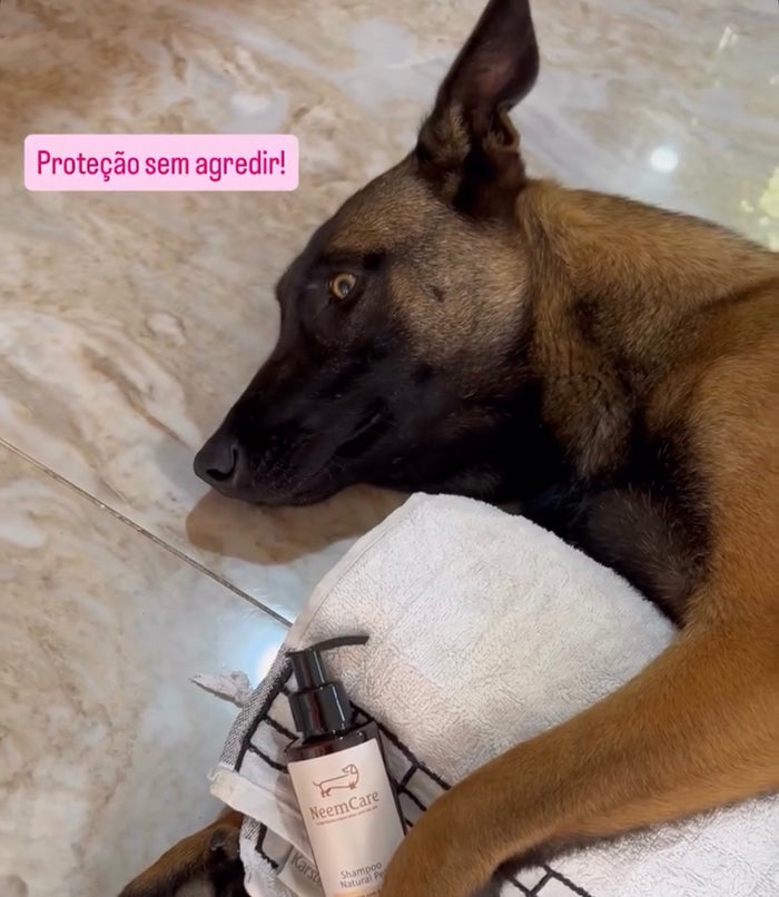 Cliente real com Shampoo Natural para Cães e Gatos com Óleo de Neem