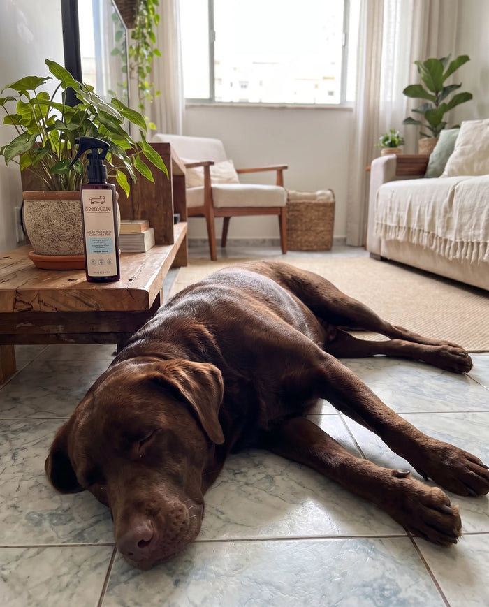 Cliente real com Hidratante Natural para Cães e Gatos com Óleo de Neem | NeemCare