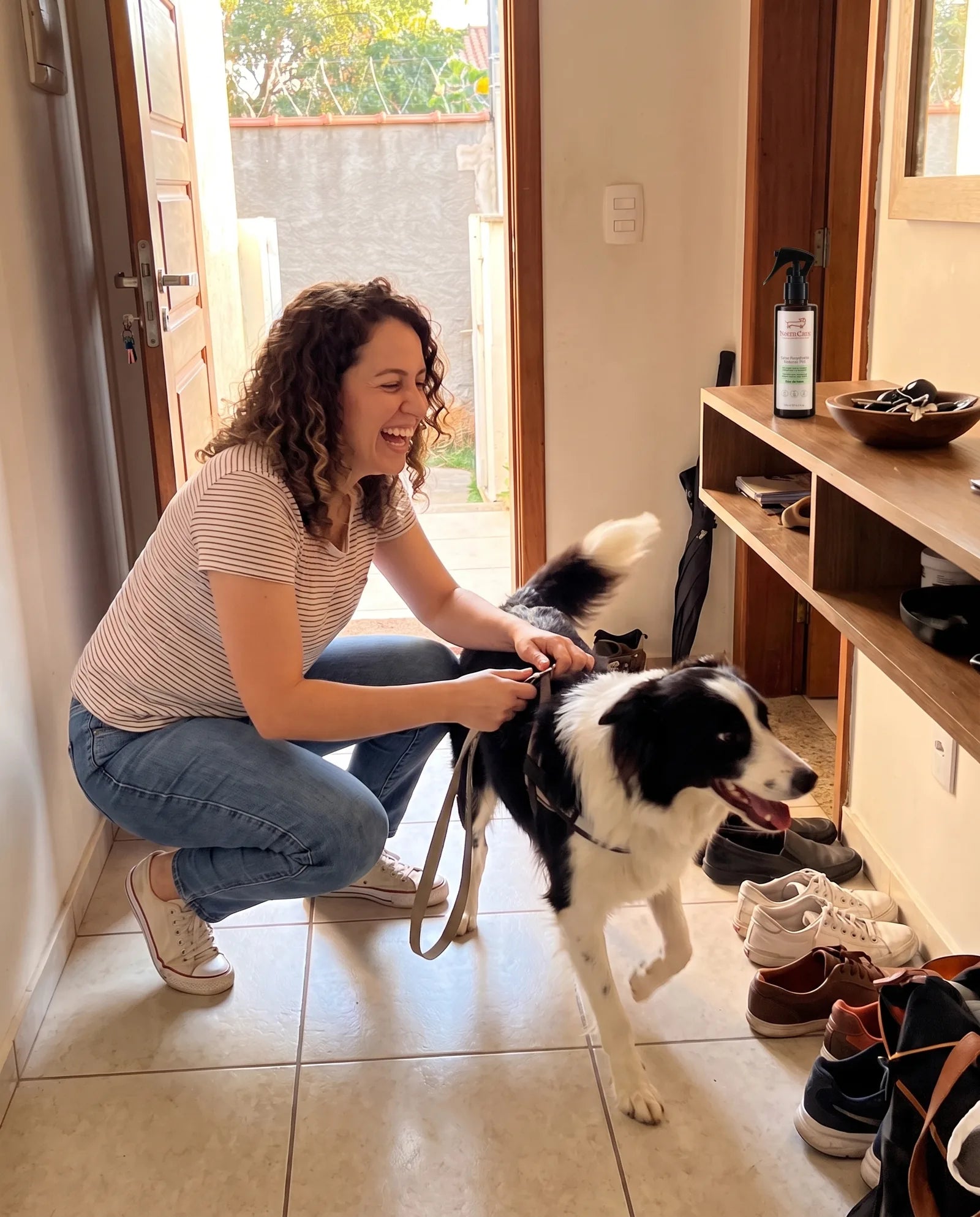 Tutora prende a guia no border collie na porta de casa, com o repelente NeemCare na prateleira da entrada
